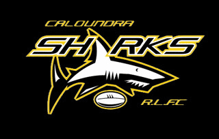 Caloundra Sharks teams